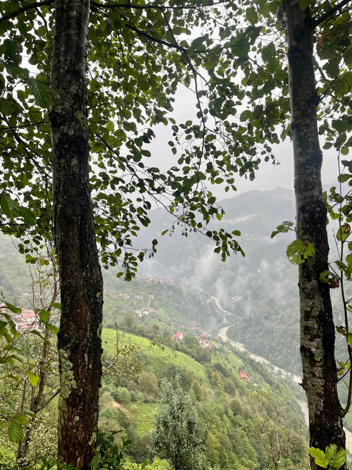 Relax Dag Evleri Rezistans Ayder Dikkaya  Exterior foto