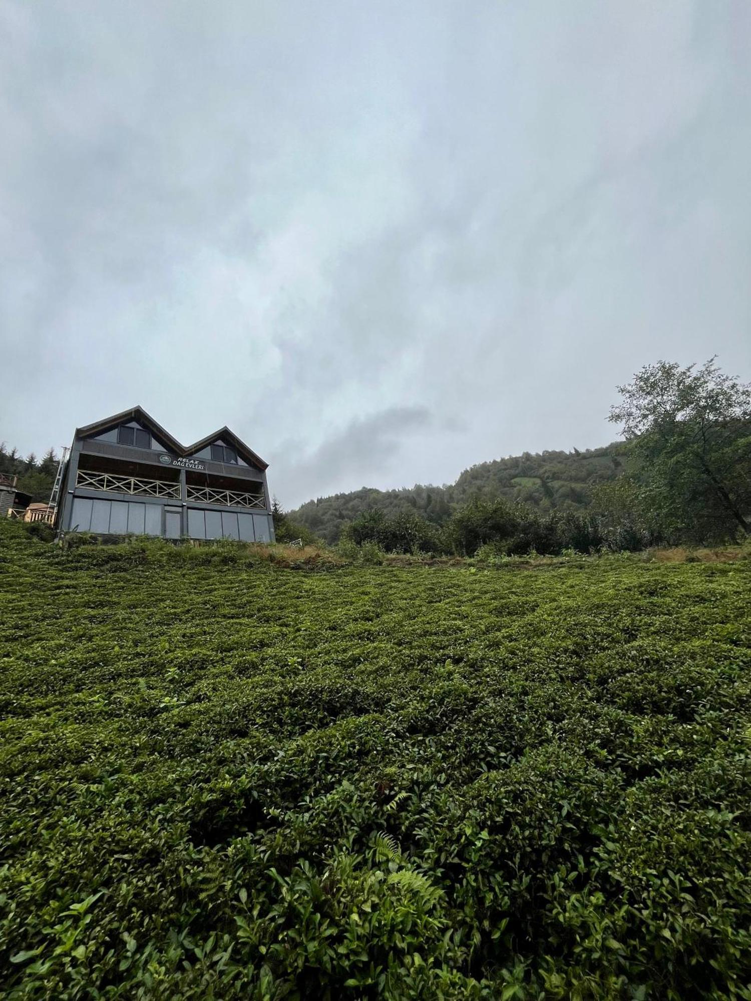 Relax Dag Evleri Rezistans Ayder Dikkaya  Exterior foto