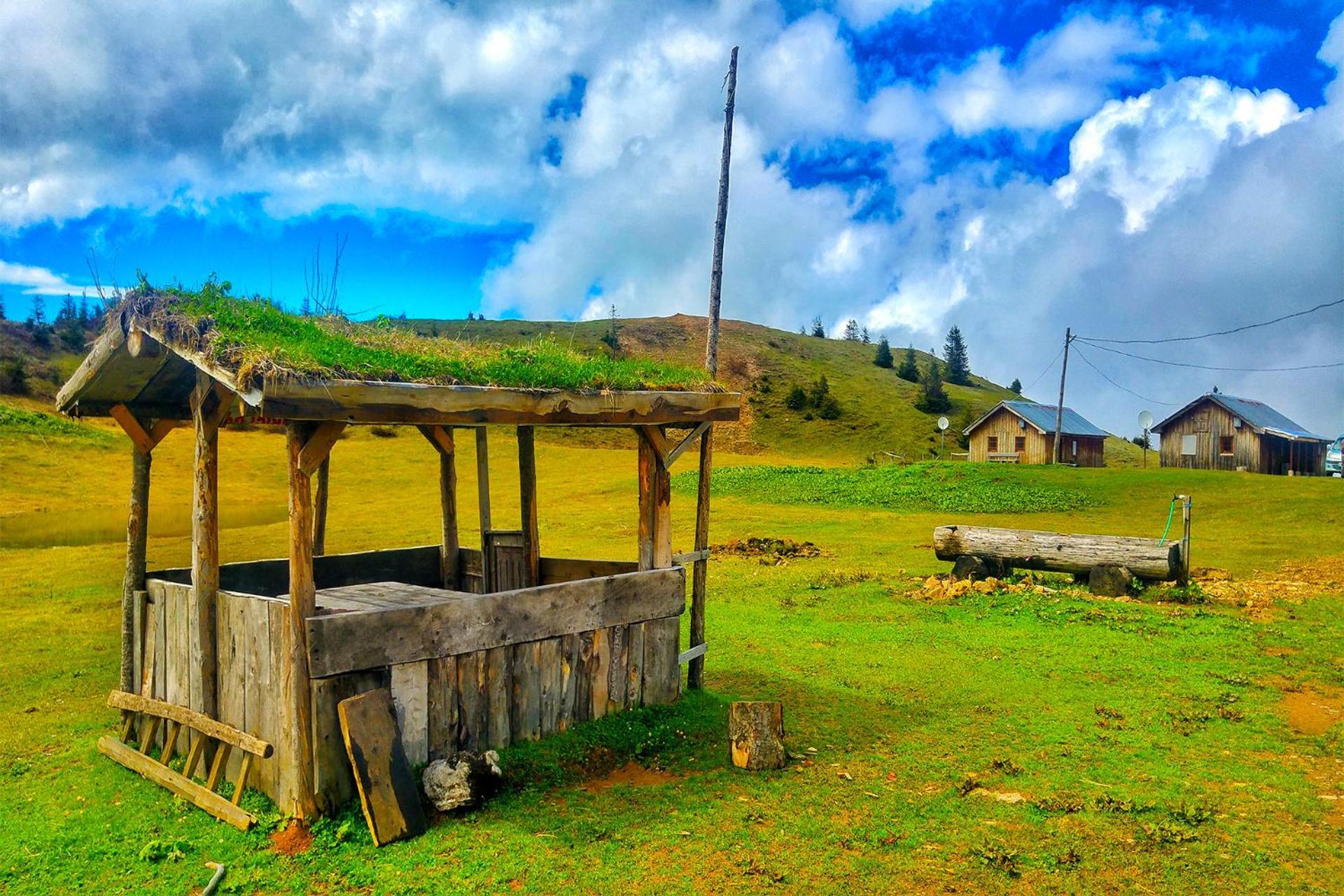 Relax Dag Evleri Rezistans Ayder Dikkaya  Exterior foto