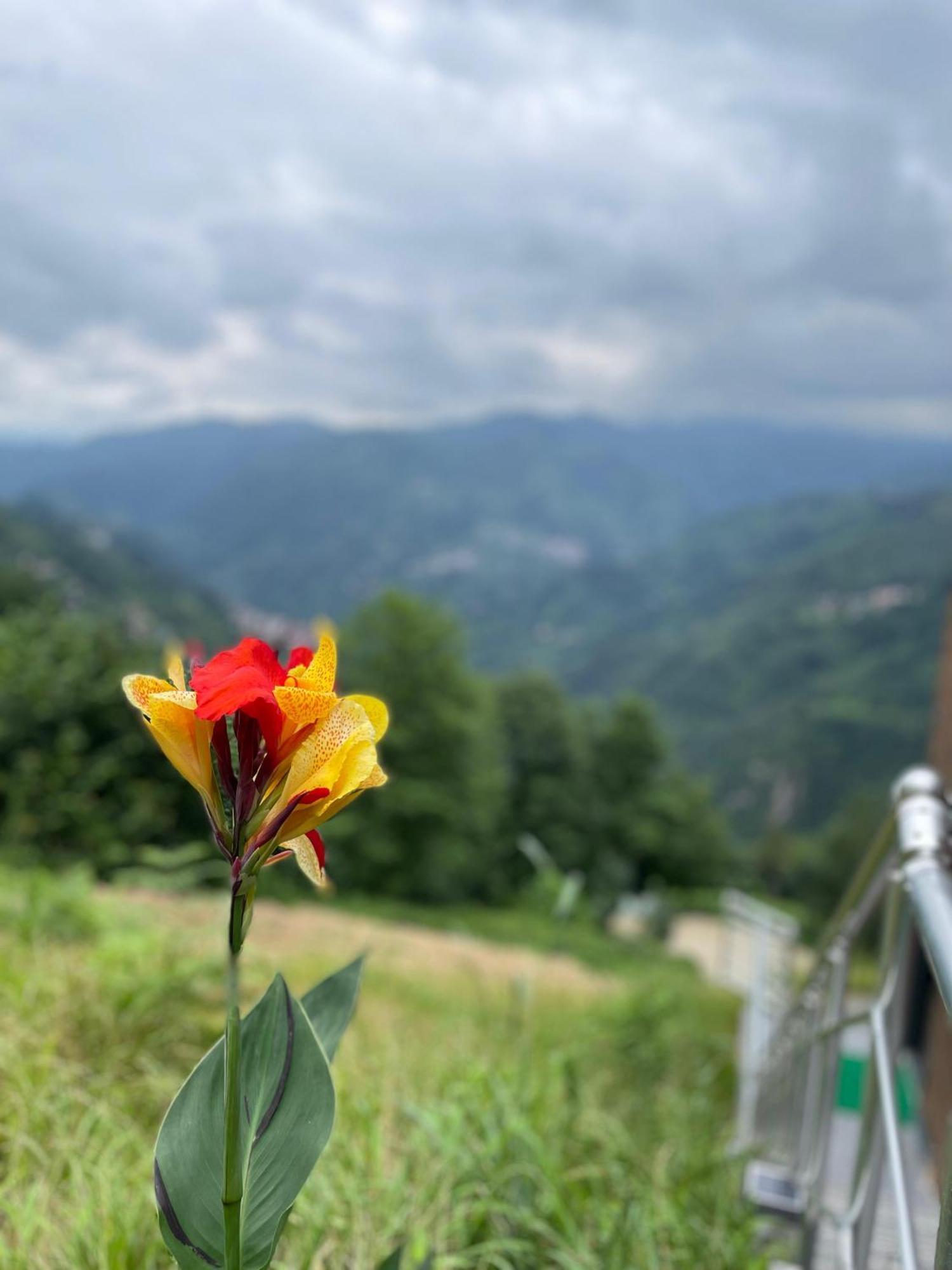 Relax Dag Evleri Rezistans Ayder Dikkaya  Exterior foto