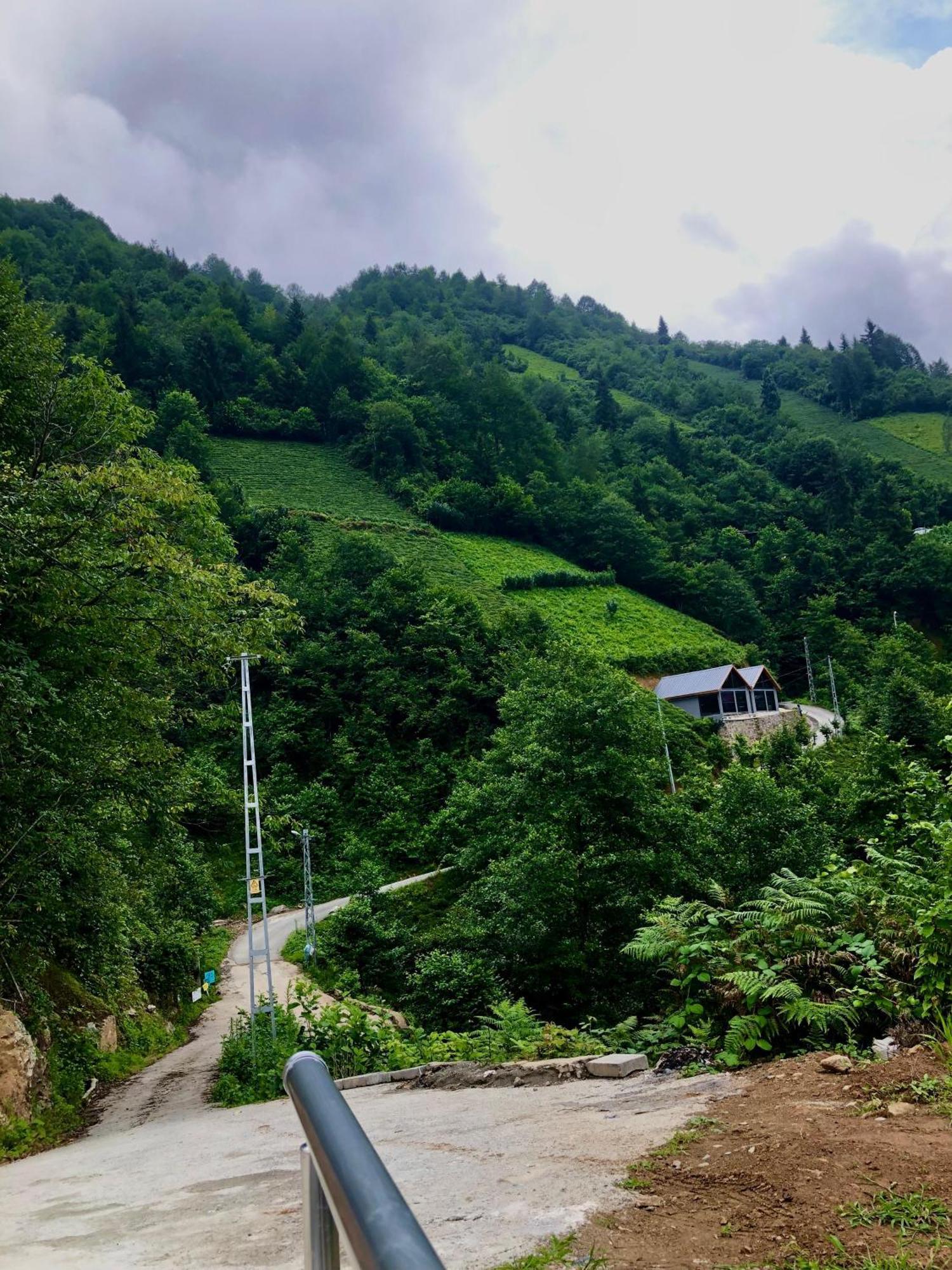 Relax Dag Evleri Rezistans Ayder Dikkaya  Exterior foto